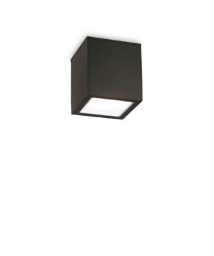 Vonkajšie stropné svietidlo TECHO PL1 SMALL, IP54, čierna farba | Ideal Lux